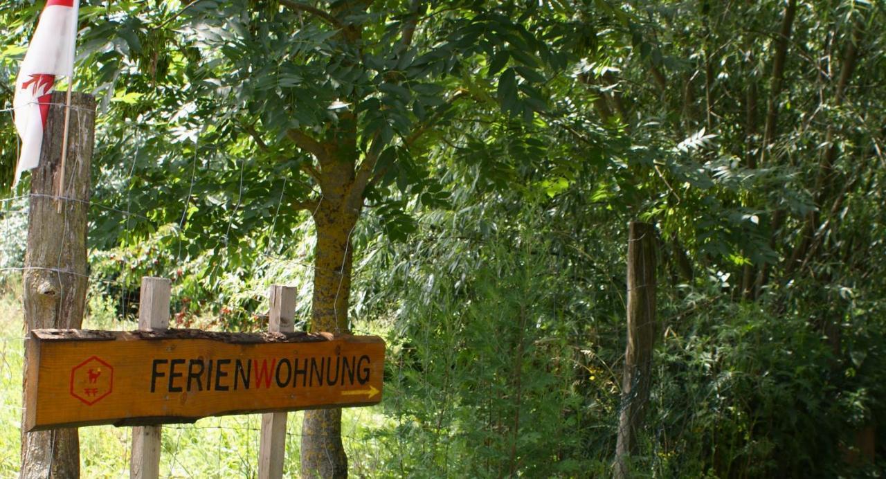Ferienwohnung Fuchsberge Letschin Dış mekan fotoğraf