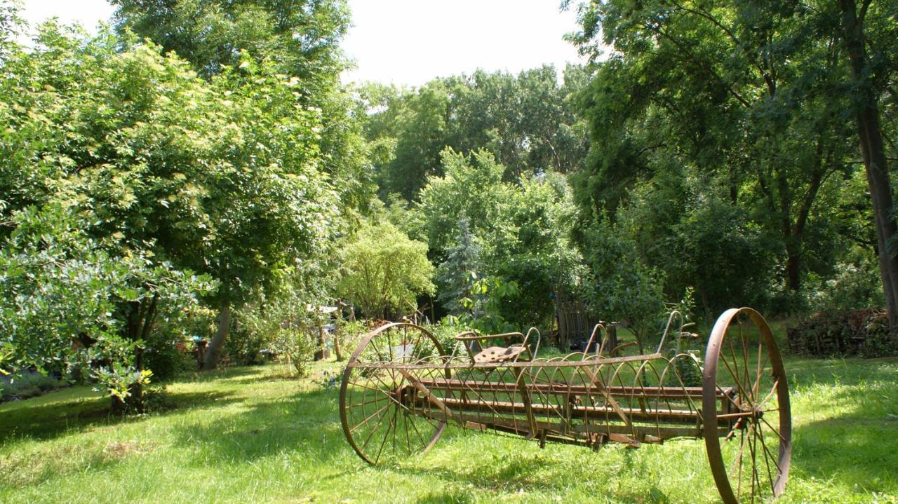 Ferienwohnung Fuchsberge Letschin Dış mekan fotoğraf